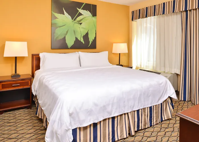 & Chicago-downtown By Ihg Hotel 3*