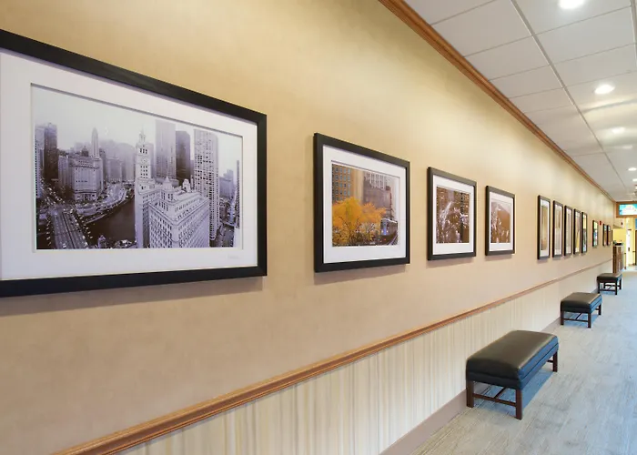 Hotel & Chicago-downtown By Ihg