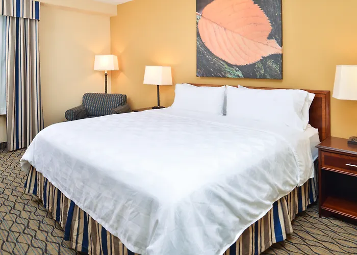 & Chicago-downtown By Ihg 3*